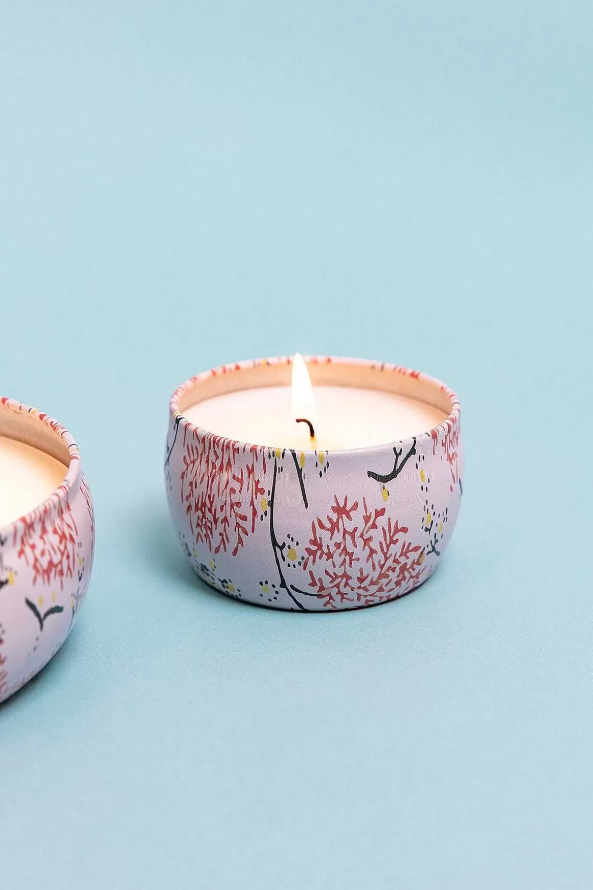 Eclectic Grapefruit & Currant Small Travel Candle Best Sale