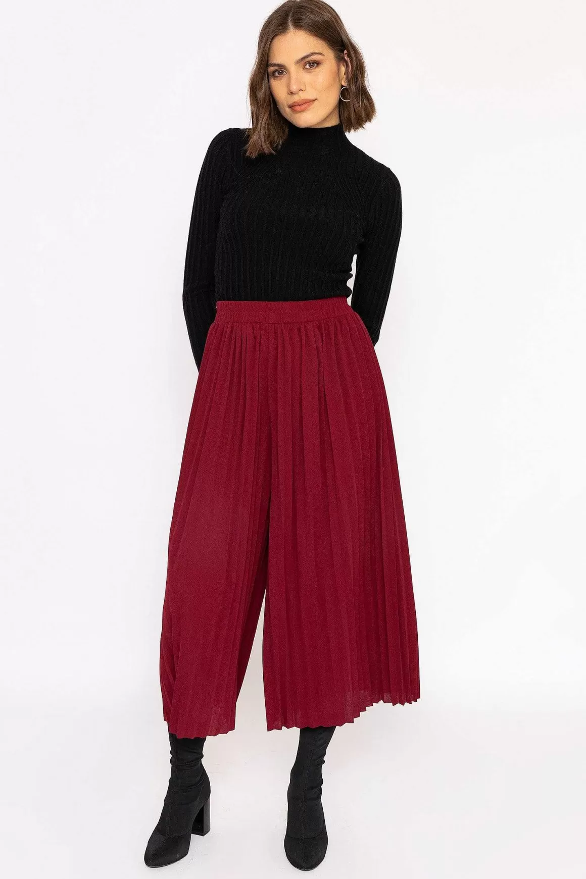 Rowen Avenue Pleated Wide Leg Pant In Burgundy Hot