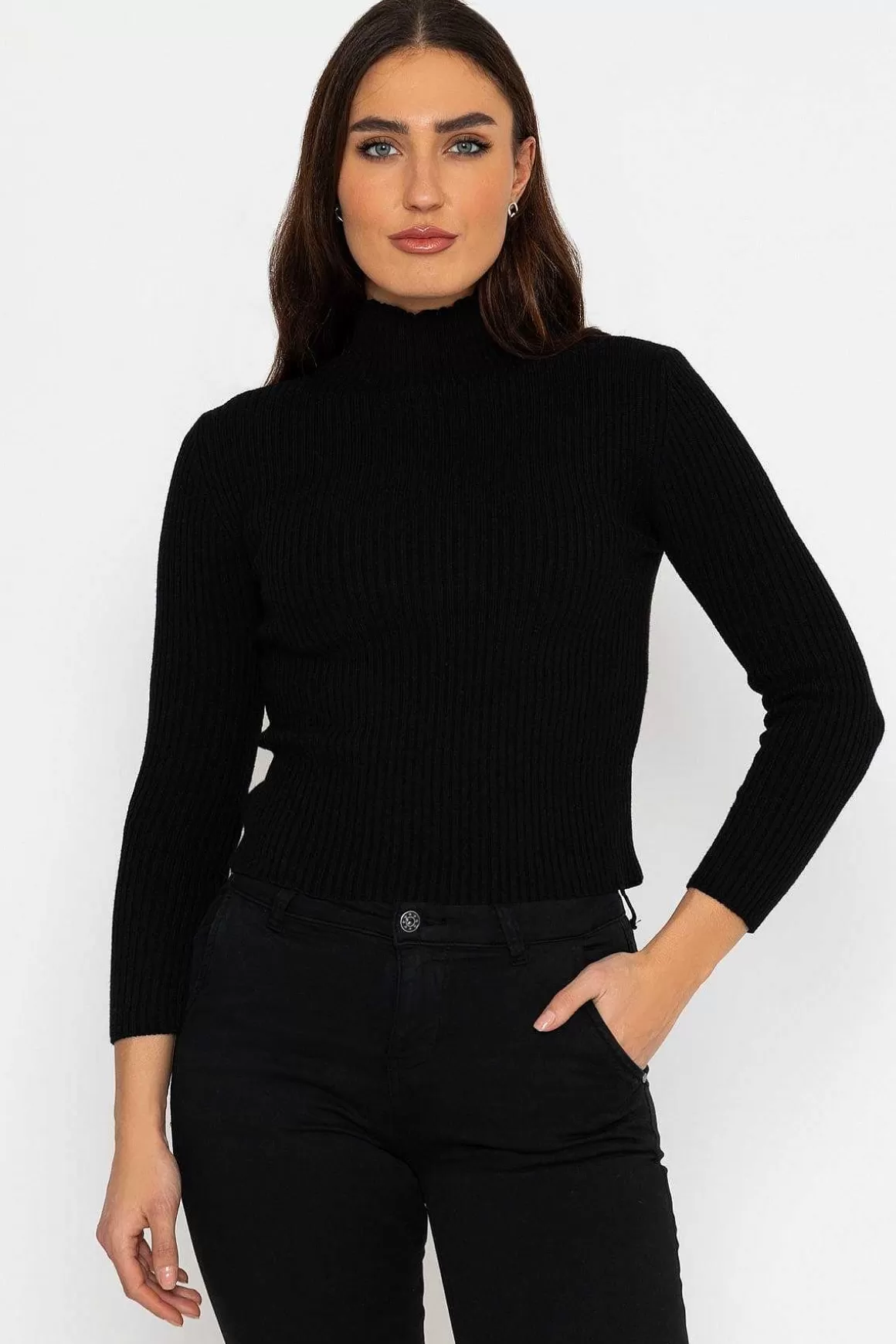 Pala D'oro Sport Rib Polo Knit In Black Online