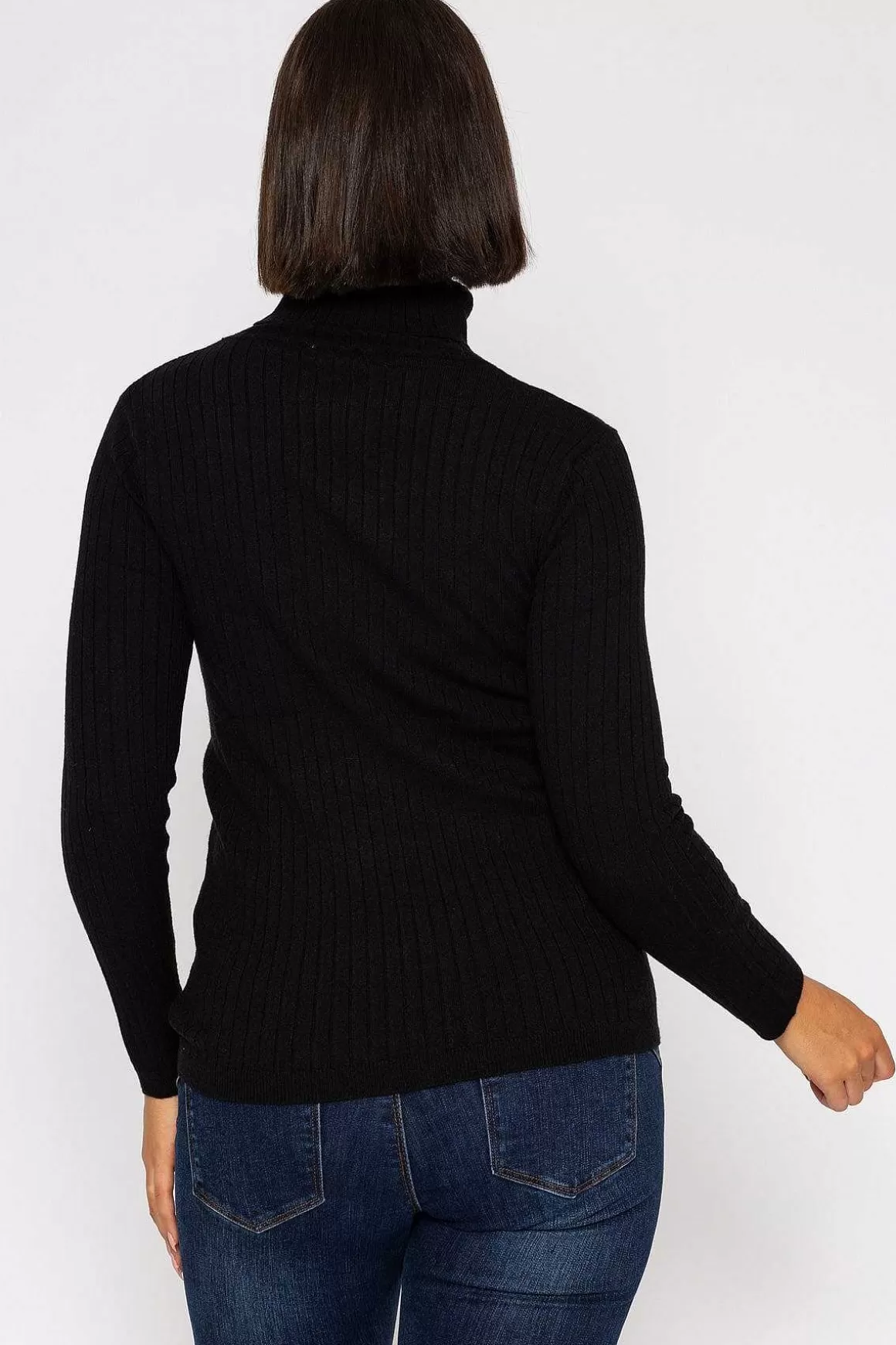 Rowen Avenue Rib Roll Neck Knit In Black Online