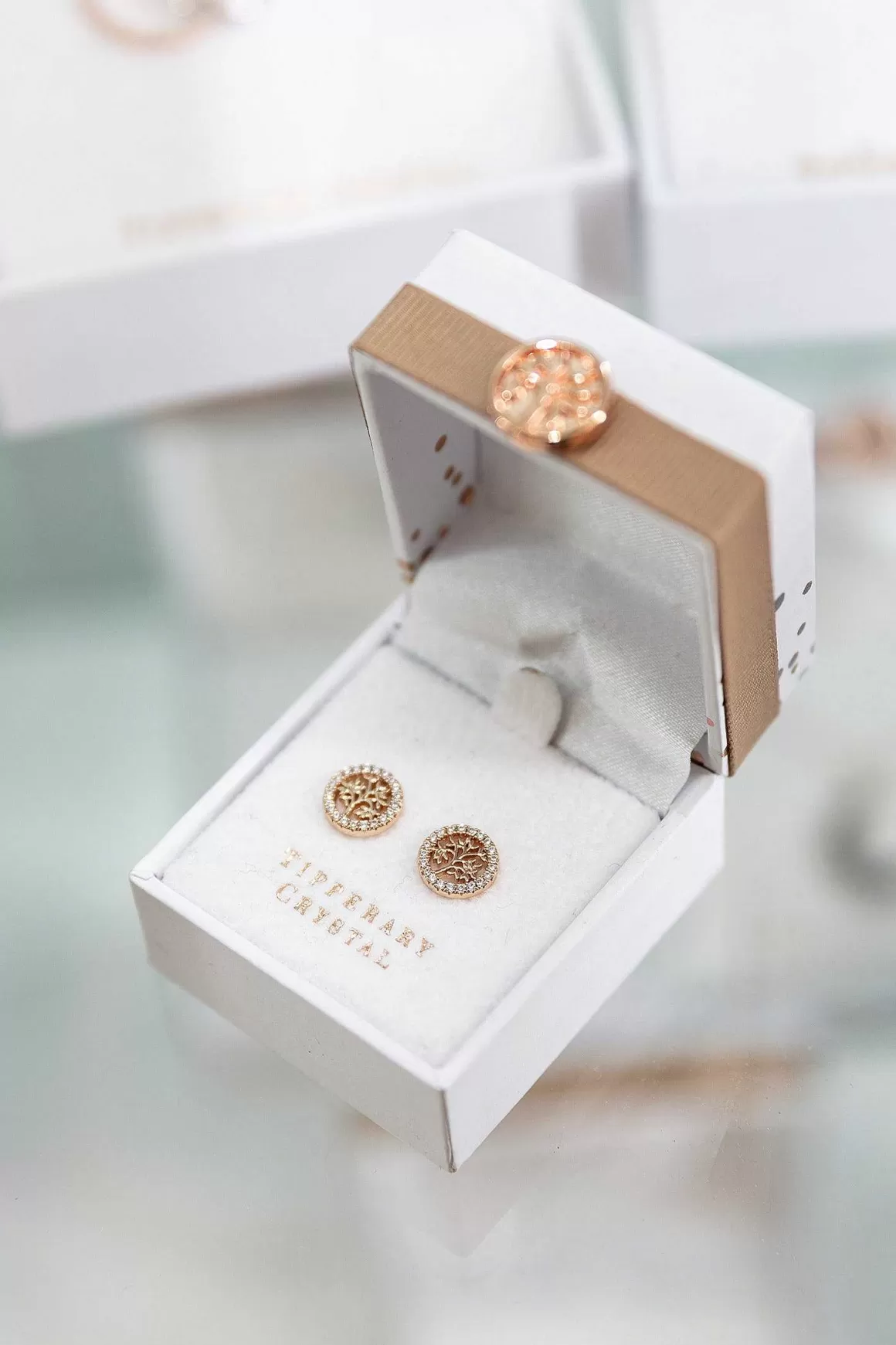 Tipperary Crystal Jewellery Rose Gold Tree And Cz Circle Stud Earrings Best