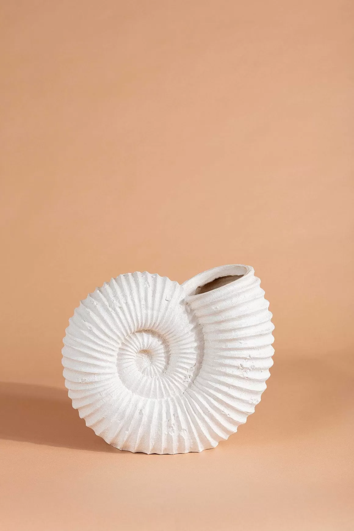 Carraig Donn HOME Seashell Vase Clearance