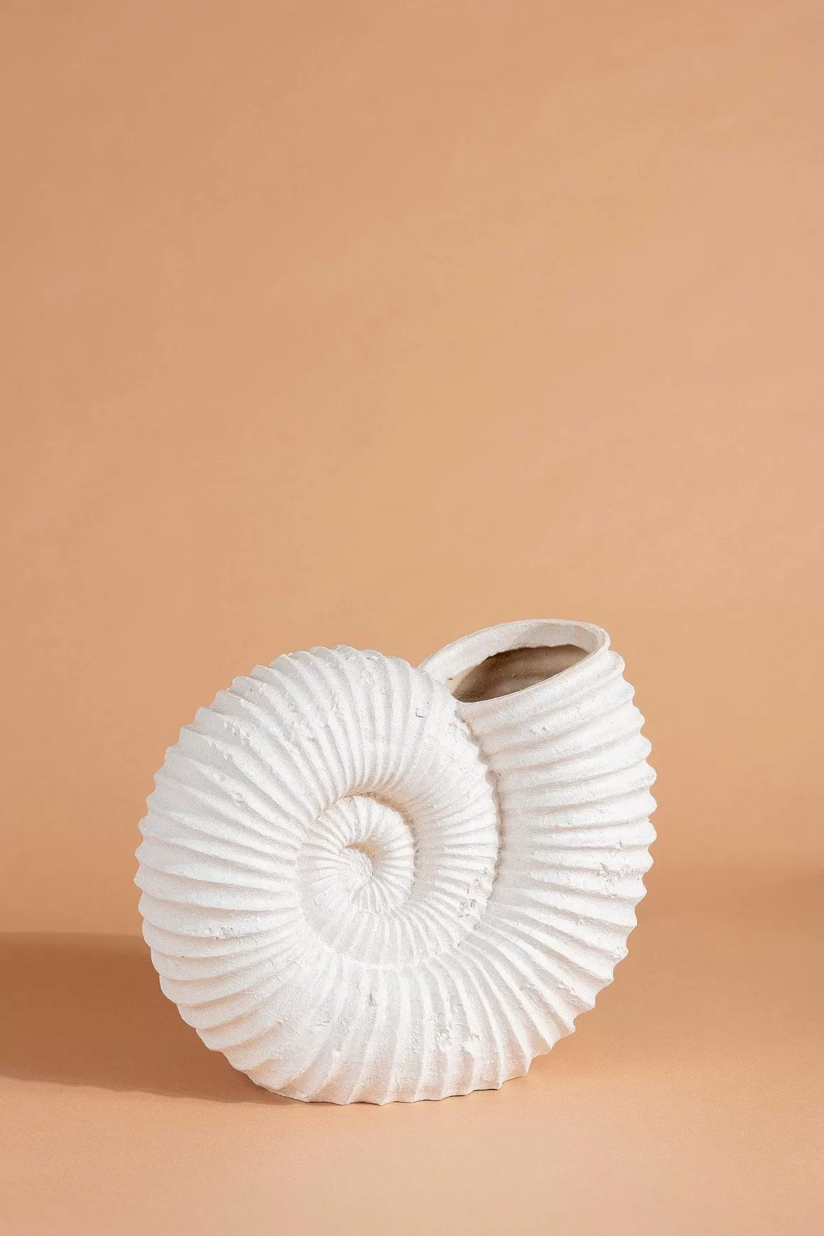 Carraig Donn HOME Seashell Vase Clearance