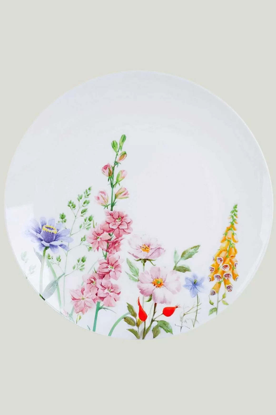 Carraig Donn HOME Summer Garden Dinner Plate Clearance